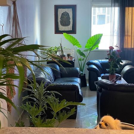קזבלנקה Private Room מראה חיצוני תמונה