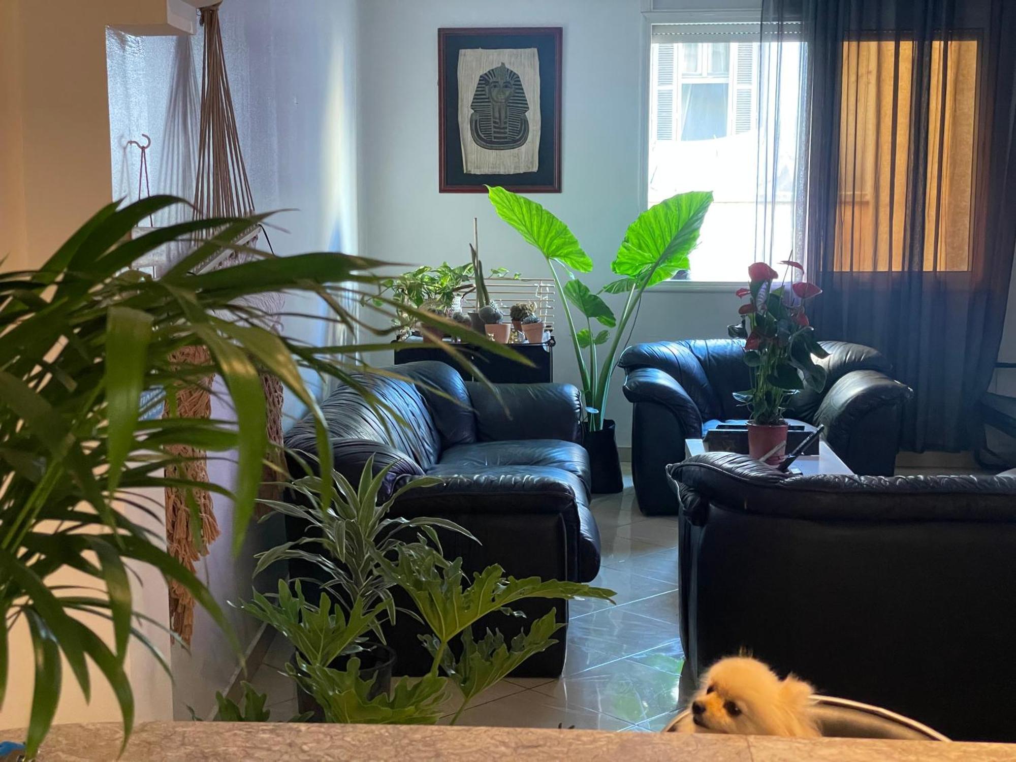 קזבלנקה Private Room מראה חיצוני תמונה